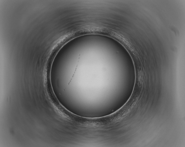 X0000114420629200910161229