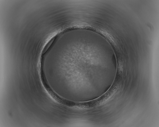 X0000114420630200910161229