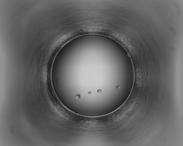 X0000114420631200910161229