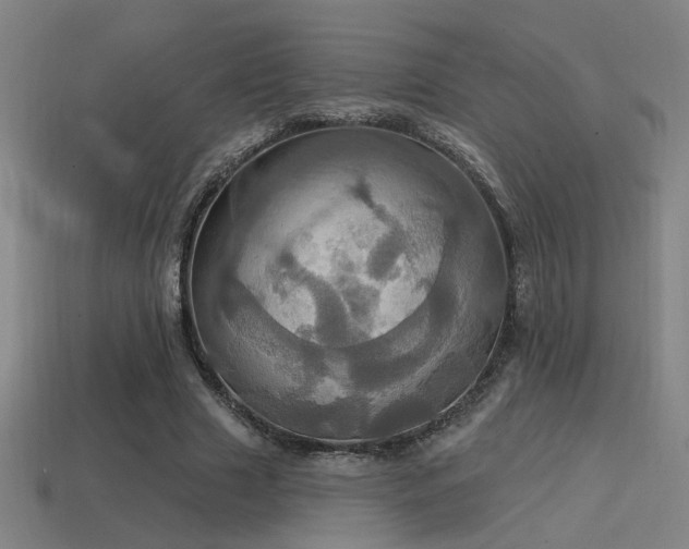 X0000114420633200910161229