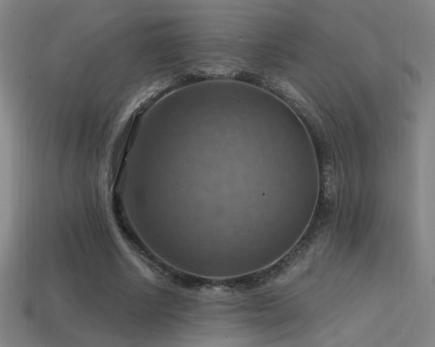 X0000114420634200910161229