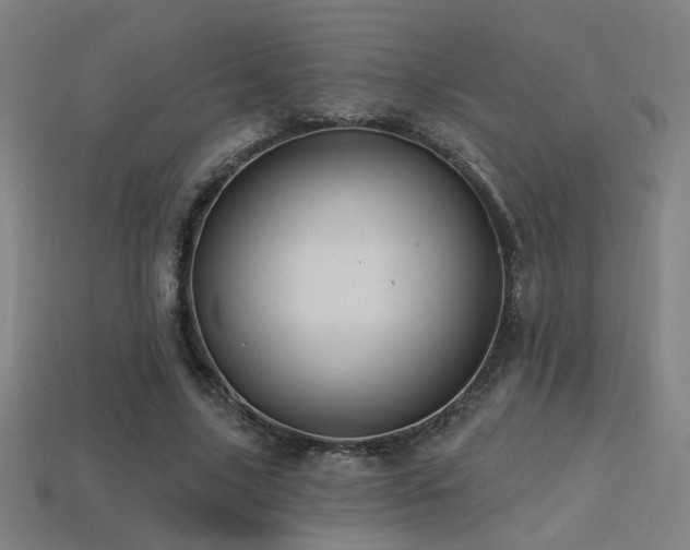 X0000114420635200910161229