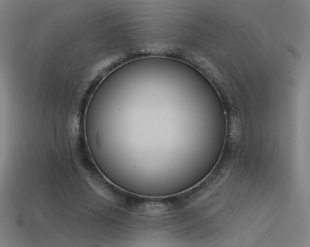 X0000114420636200910161229
