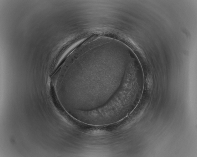 X0000114420637200910161229