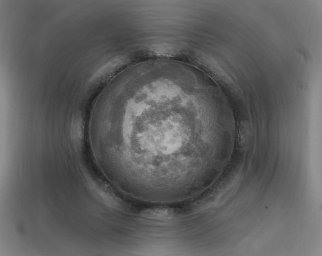 X0000114420639200910161229