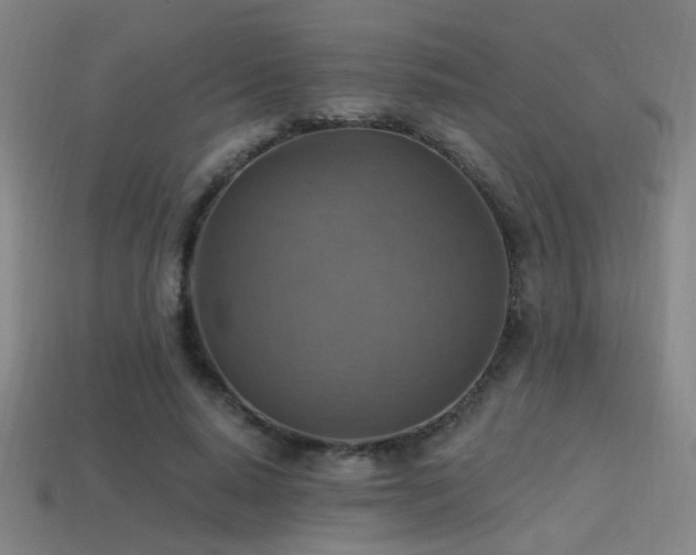 X0000114420640200910161229