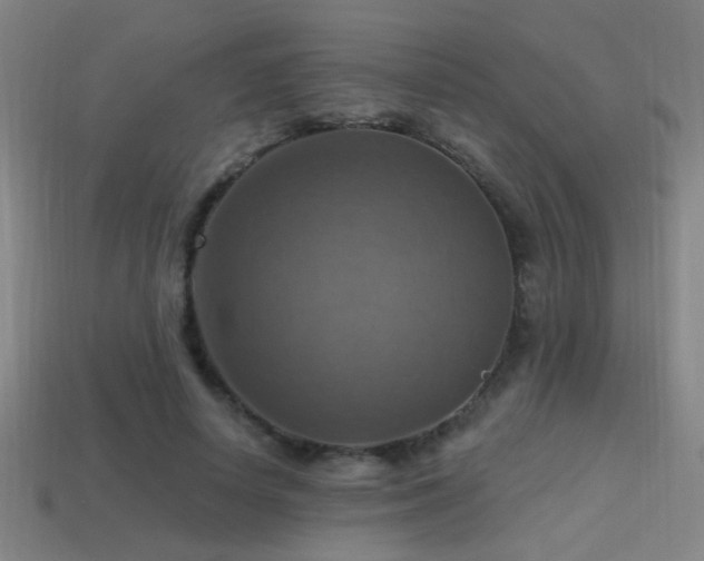 X0000114420642200910161229