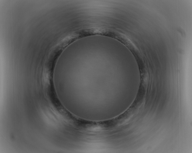 X0000114420643200910161229