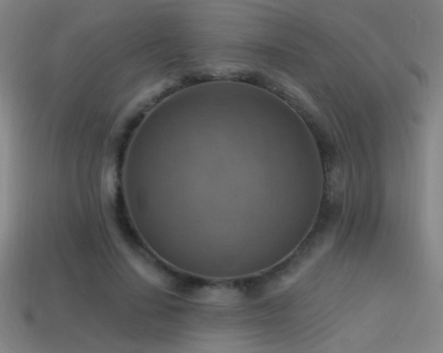 X0000114420644200910161229
