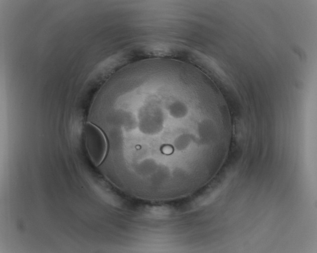 X0000114420645200910161229