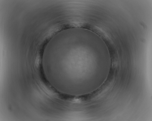 X0000114420647200910161229