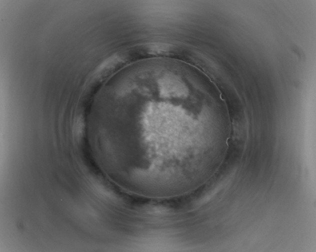 X0000114420648200910161229
