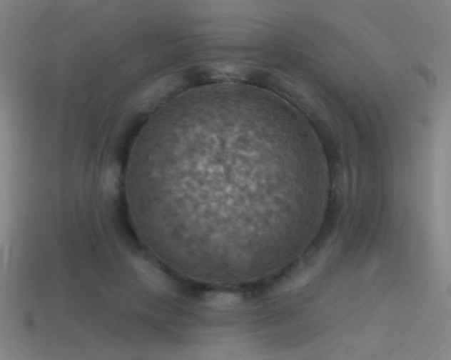 X0000114420649200910161229