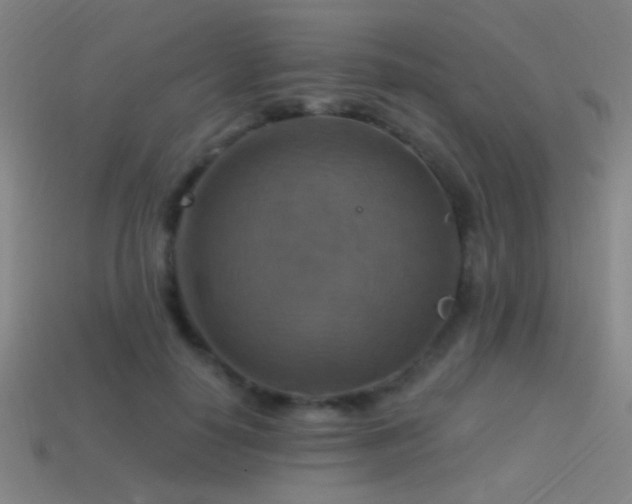 X0000114420650200910161229
