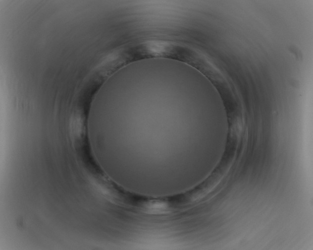 X0000114420651200910161229