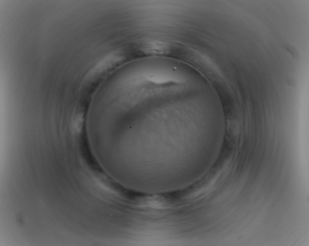 X0000114420652200910161229