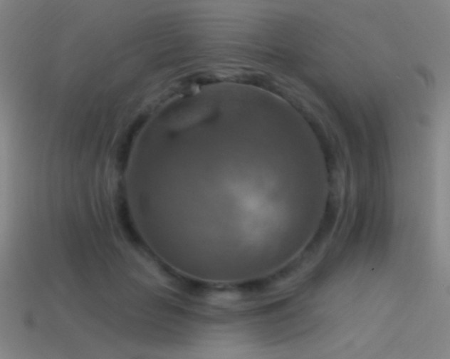 X0000114420653200910161229