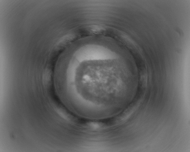 X0000114420654200910161229