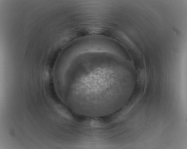 X0000114420655200910161229