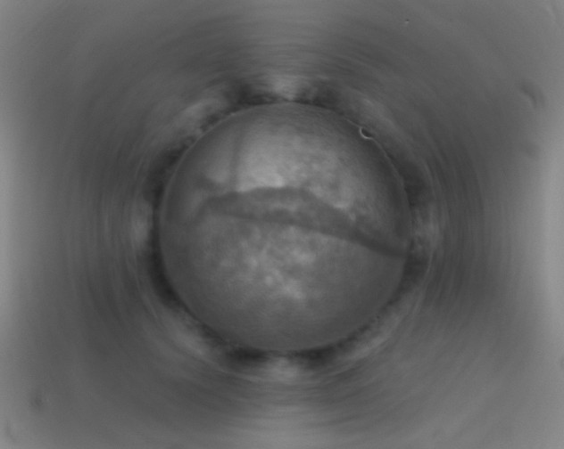 X0000114420656200910161229