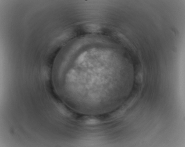 X0000114420658200910161229
