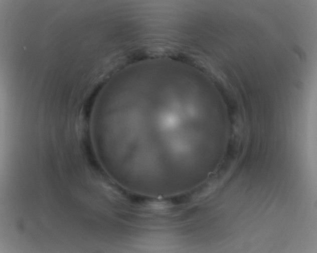 X0000114420659200910161229