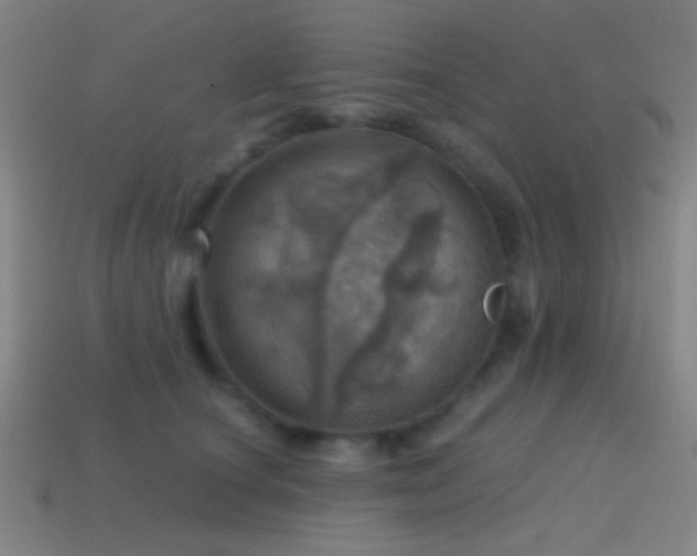 X0000114420660200910161229