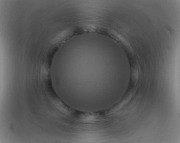 X0000114420661200910161229