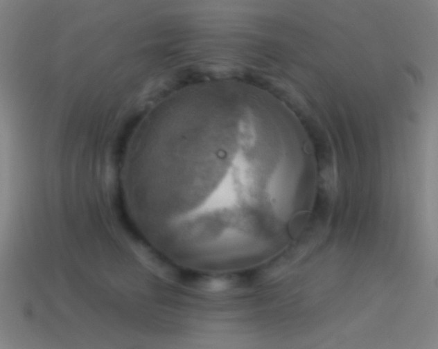 X0000114420662200910161229