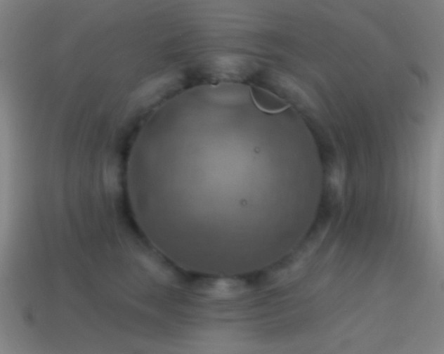 X0000114420663200910161229