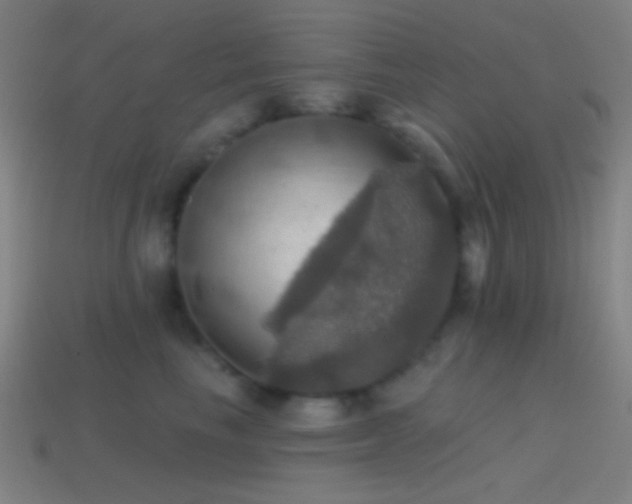 X0000114420665200910161229