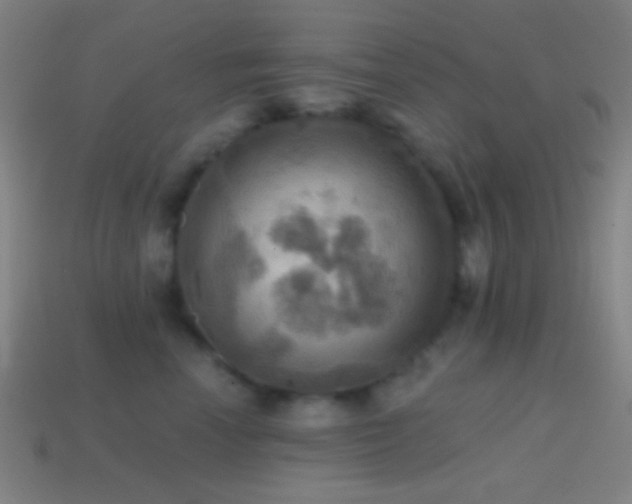 X0000114420666200910161229