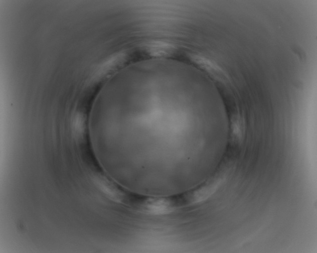 X0000114420667200910161229