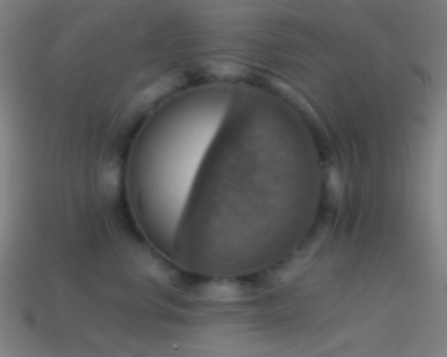 X0000114420668200910161229