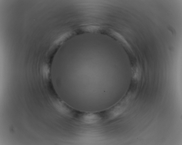 X0000114420669200910161229