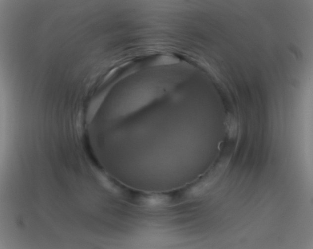 X0000114420670200910161229