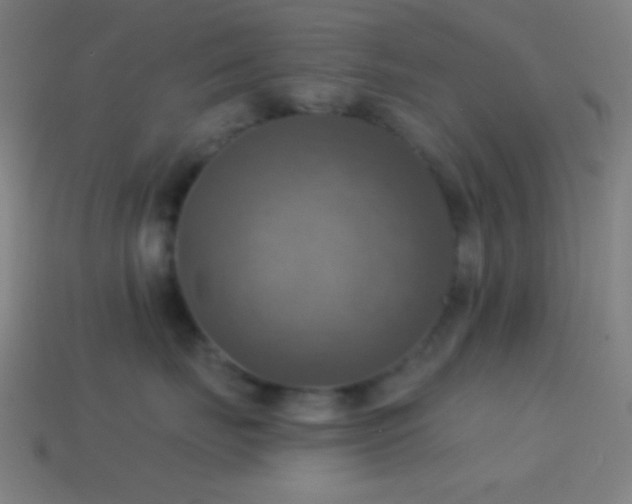 X0000114420671200910161229