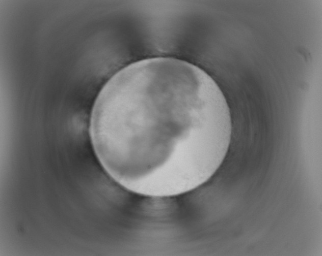 X0000114420672200910161229