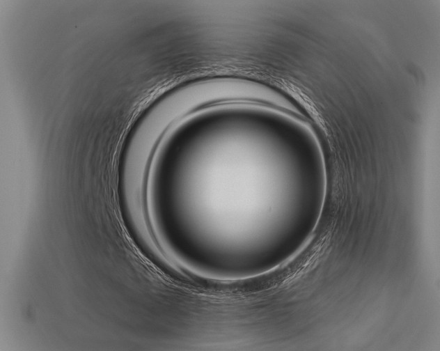 X0000114420673200910161229