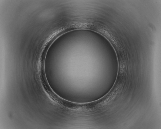 X0000114420674200910161229