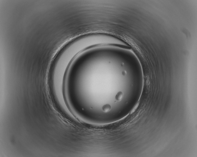 X0000114420676200910161229