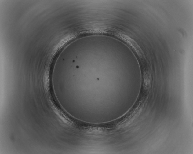 X0000114420677200910161229