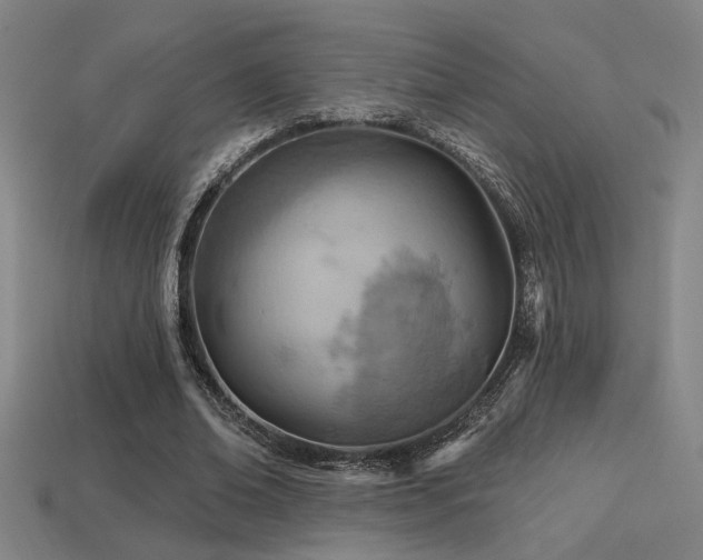 X0000114420678200910161229