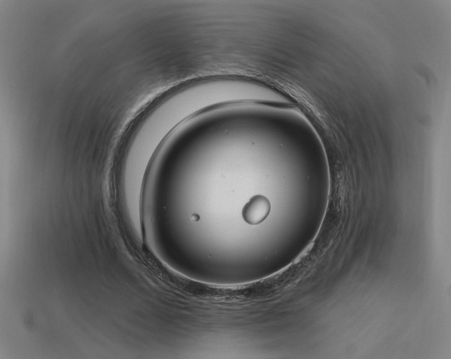 X0000114420680200910161229