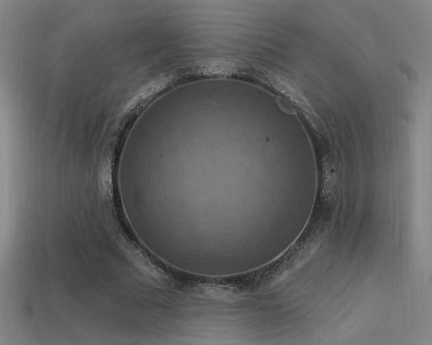 X0000114420681200910161229