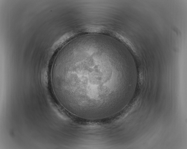 X0000114420682200910161229