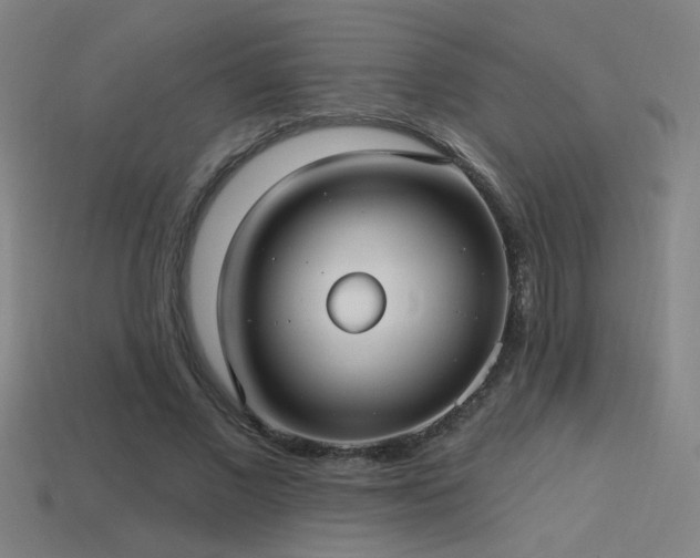X0000114420685200910161229