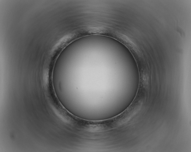 X0000114420686200910161228