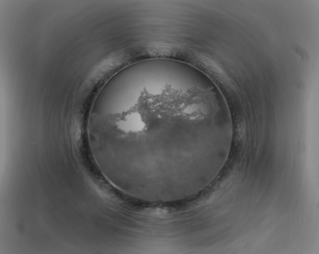 X0000114420687200910161228