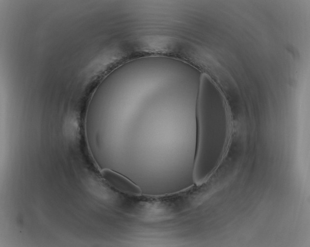 X0000114420688200910161228